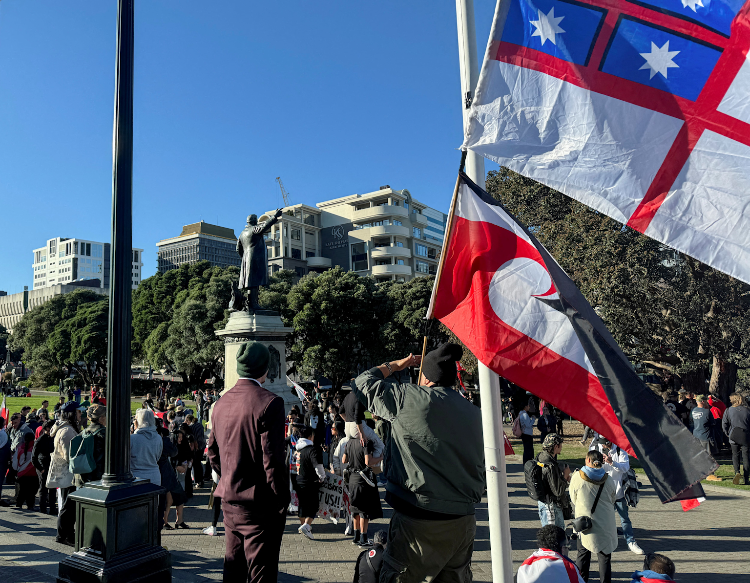 Indigenous protesters gather near Parliament in New Zealand, displaying Māori flags as a symbol of resistance and sovereignty