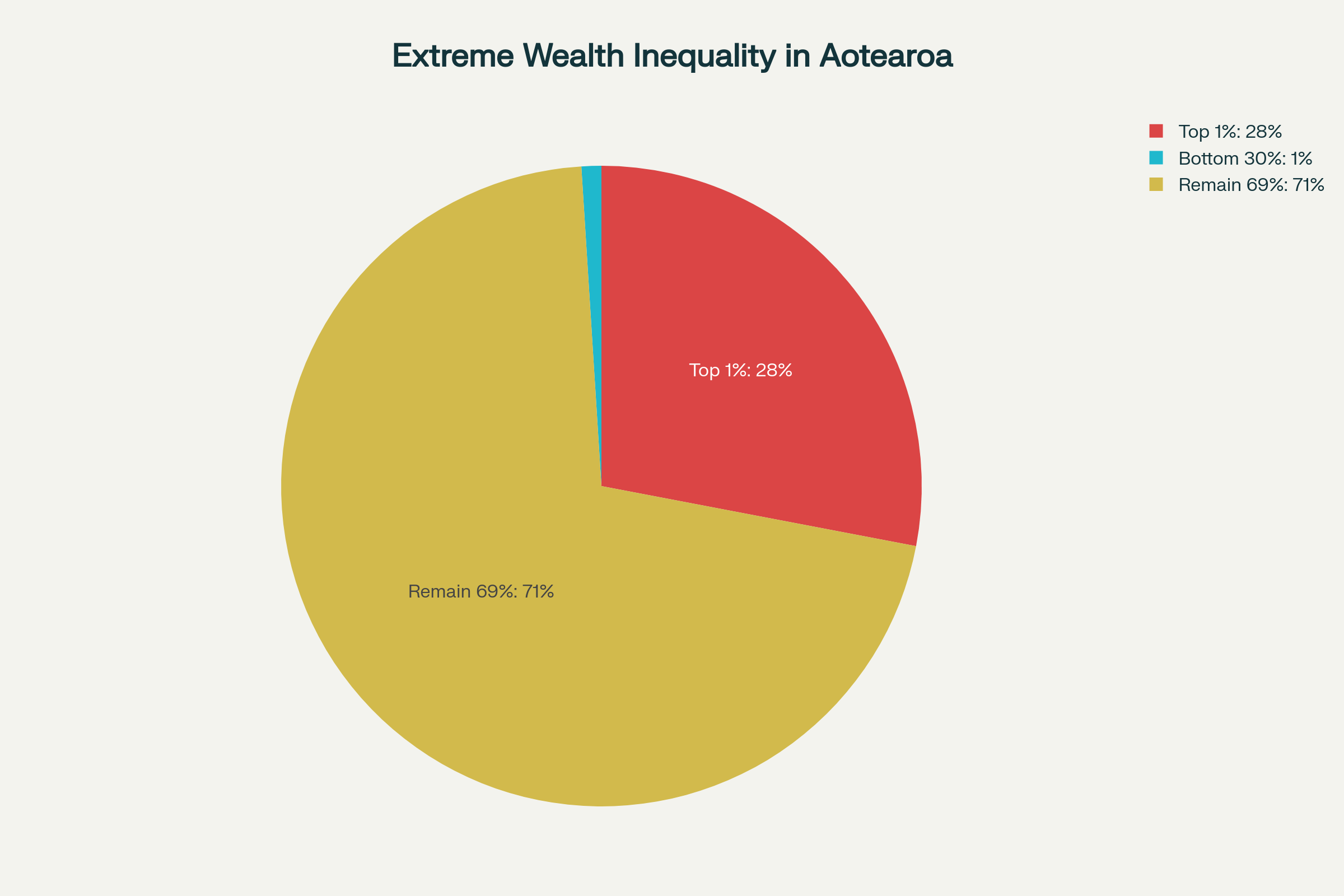 Pie chart revealing New Zealand's extreme wealth inequality, where 1% of the population controls 28% of all wealth