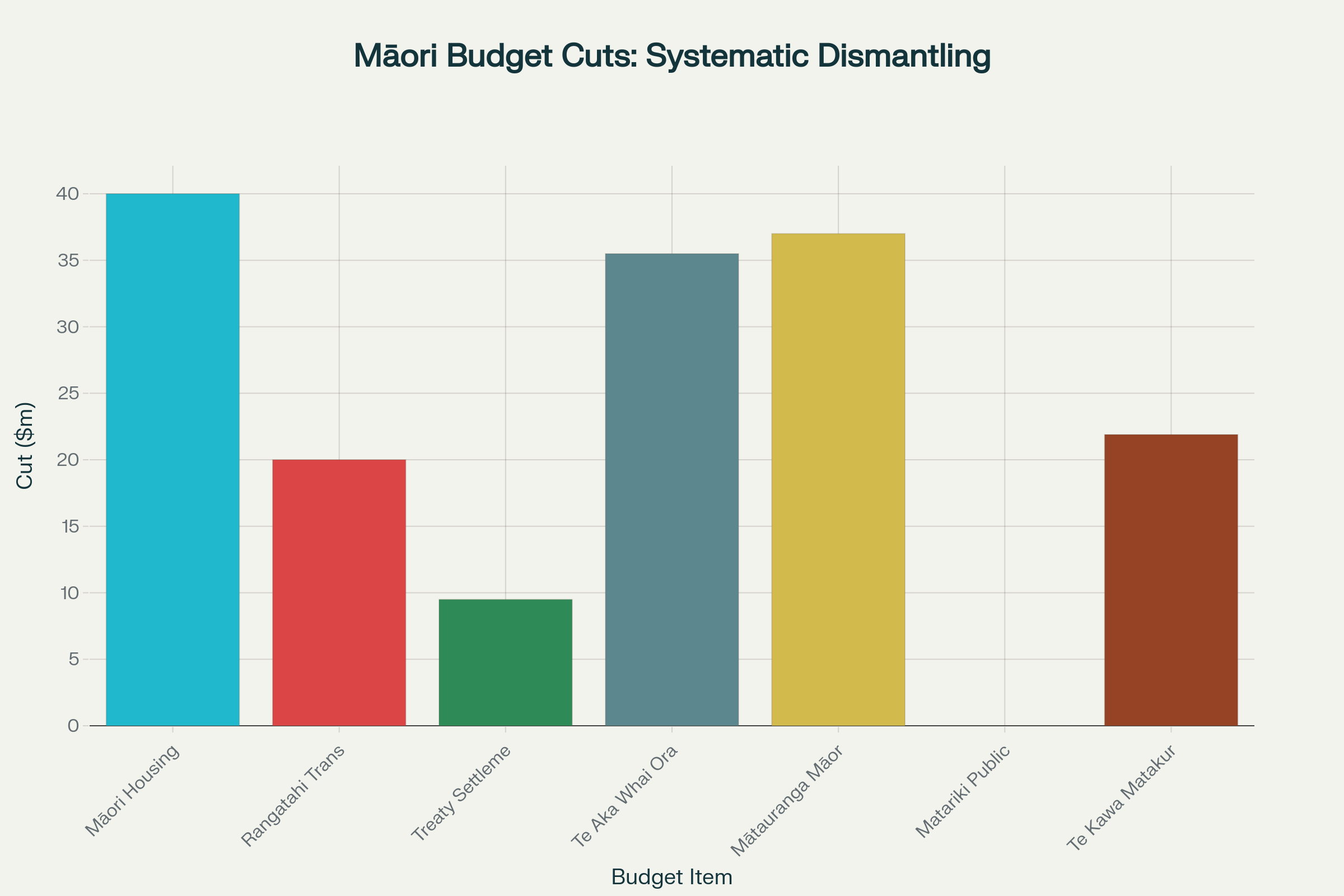 Bar chart showing the systematic cuts to Māori-specific budget items totaling $163.9 million