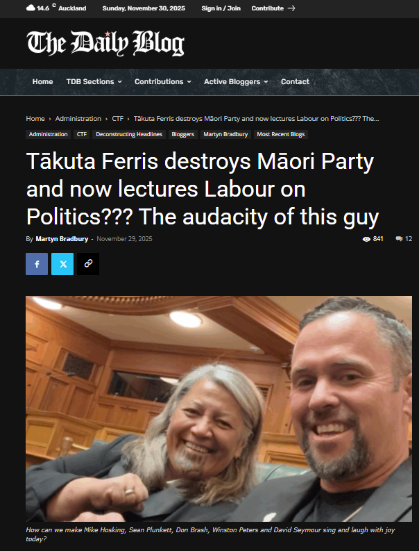 “The Daily Blog’s Ferris Attack: Political Cover for Labour Disguised as Criticism” - 30 November 2025