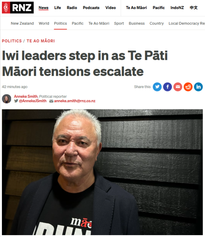 "The Neoliberal Purge: How Project 2025's American Architects Are Dismantling Te Tiriti While Te Pāti Māori Implodes" - 4 November 2025