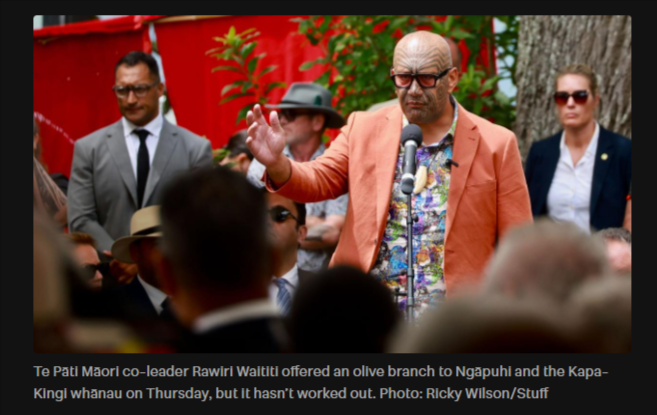 “Haka in a Burning House: Te Pāti Māori’s Neoliberal Clown Car at Waitangi” - 8 January 2026