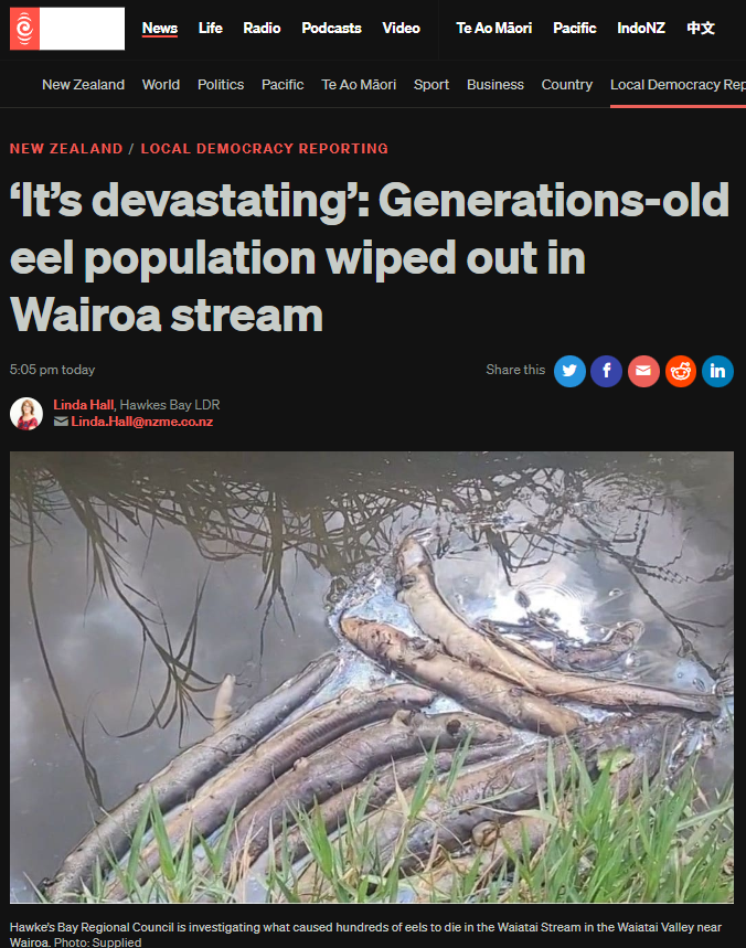 “The Waiatai Stream Massacre” - 16 January 2026