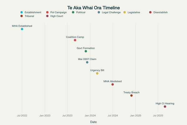 “A Judicial Reckoning for Te Aka Whai Ora” - 29 August 2025