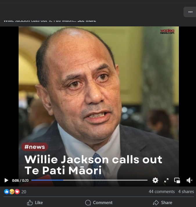 “The Coloniser's Dream: How Māori Political Infighting Serves White Supremacy” - 27 August 2025