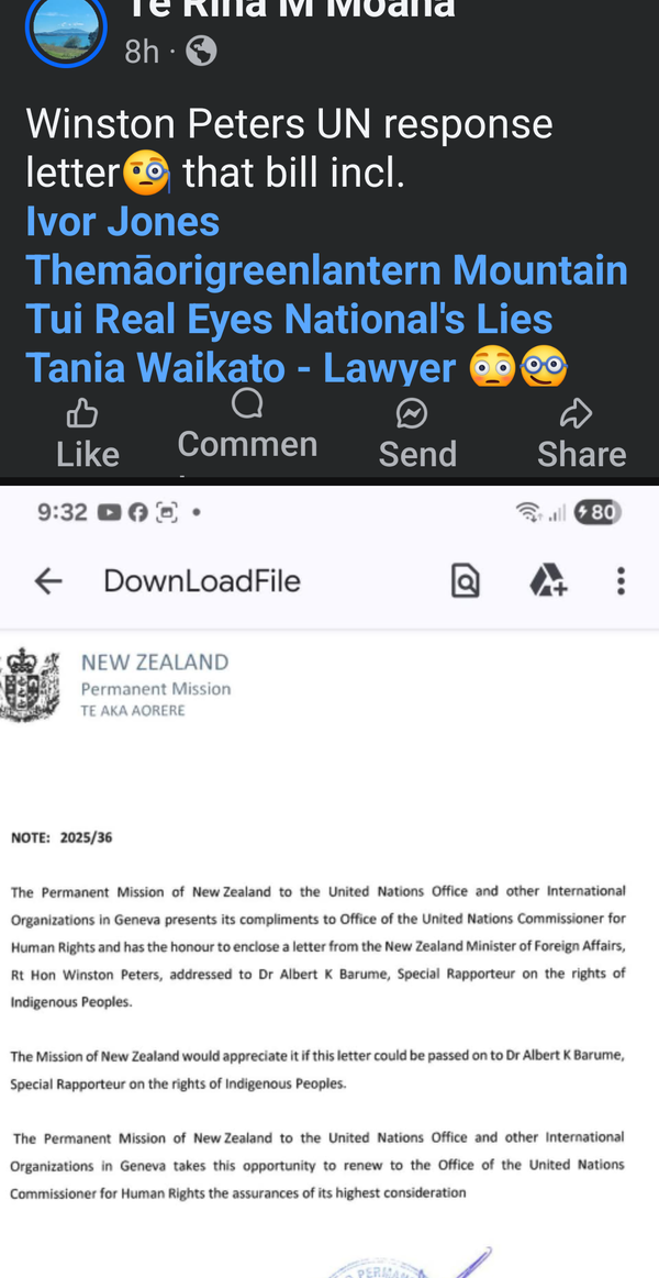 “The Winston Peters UN Shell Game” - 12 August 2025