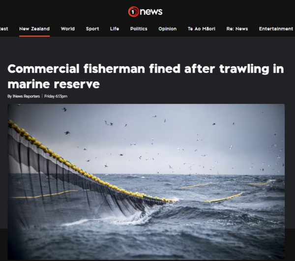 “When commercial fishermen treat our protected marine sanctuaries like their personal cash registers - 13 September 2025